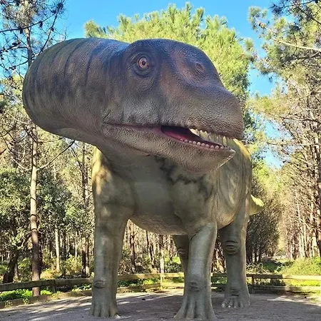 Tininha Da Ilha - Escape פניש