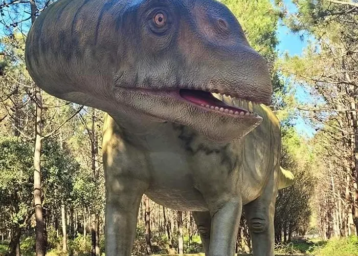 Tininha Da Ilha - Escape ペニシェ