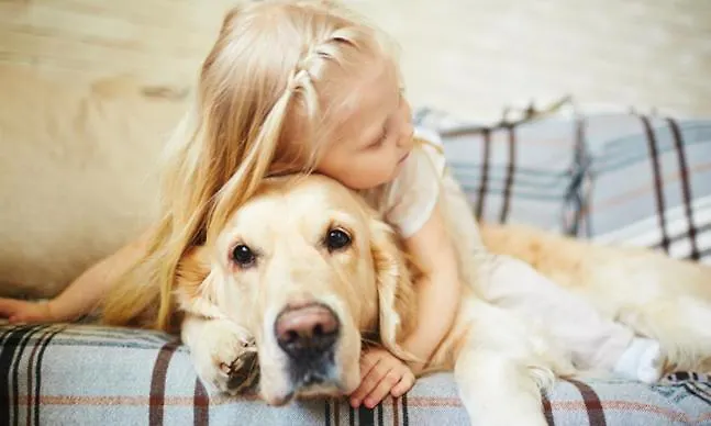 Tininha Da Ilha - Escape *